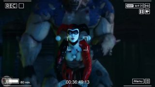 Animation Hentai – Harley Quinn